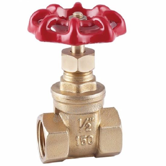 Brass Gate Valve 1/2 Inch